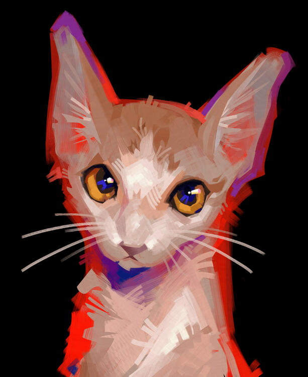 KITTY